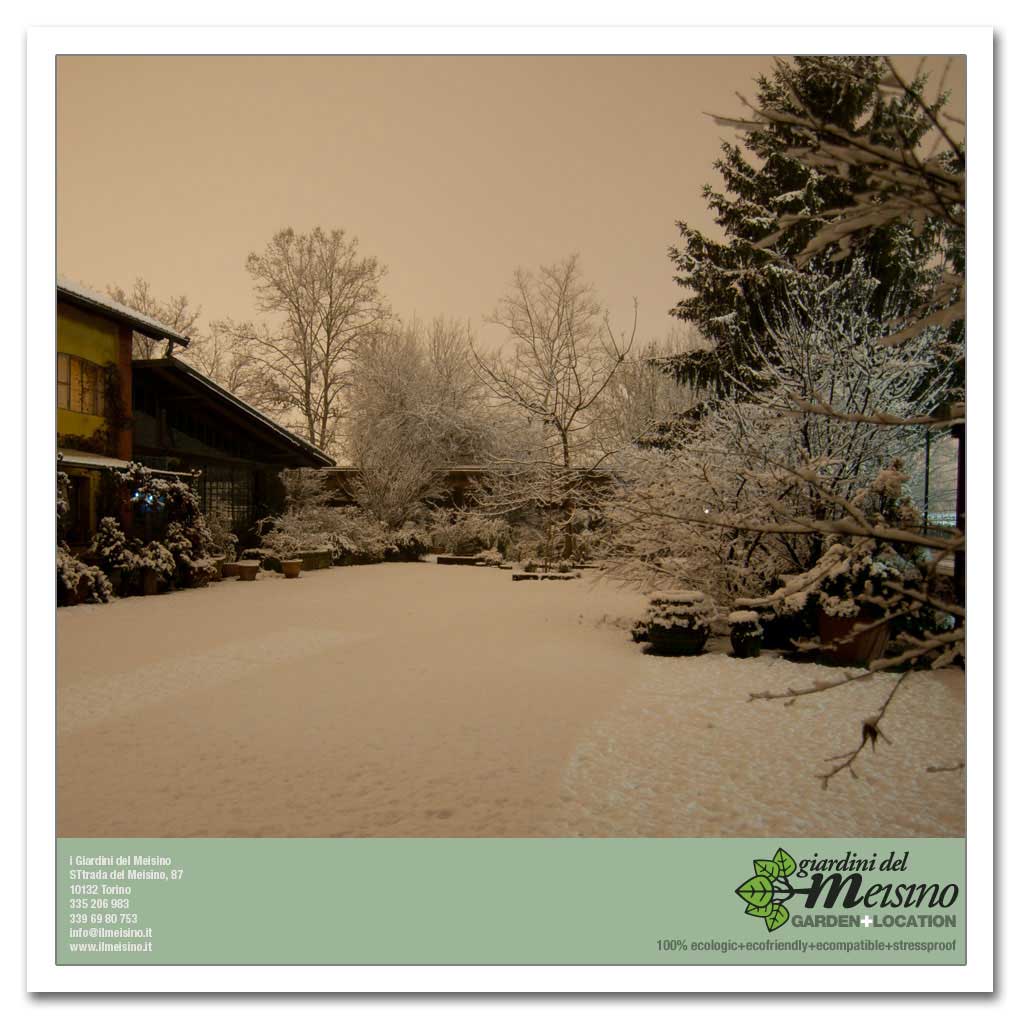 giardini meisino location torino 154